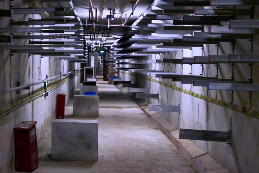 应对极端大风天气 北京各部门发布重要提示(图1)