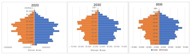 学术报告 王凯：面向中国式现代化的2035城市展望(图7)