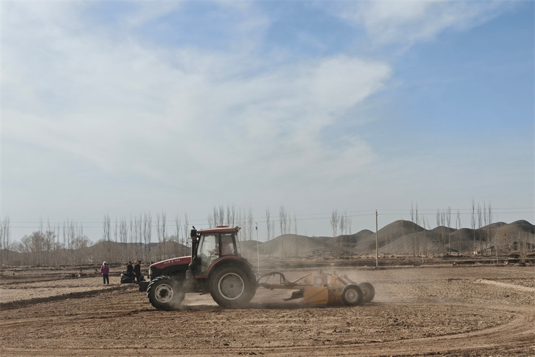 绿色低碳农业描绘乡村振兴新图景(图1)