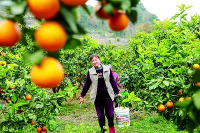 锚定目标打好年底“收官仗”(图3)