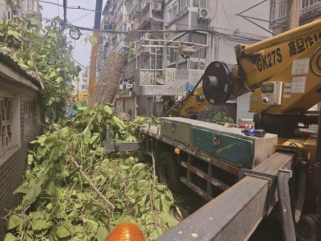 南京安城集团“养护铁军”：以温情凝力量 以实干护万家(图2)