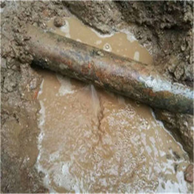 重庆地矿人架起中非“连心井”(图1)