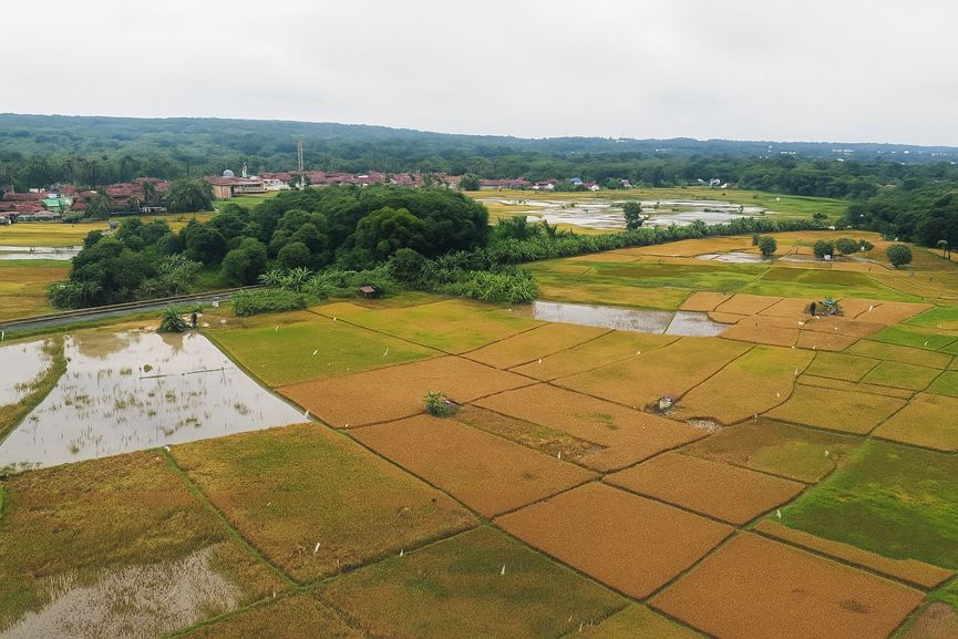 威乐环球 威乐太阳能灌溉技术助力粮食安全与可持续农业(图1)
