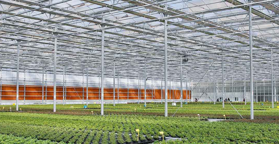 绿染沃野生生不息——“十四五”农业发展全面绿色转型综述(图1)