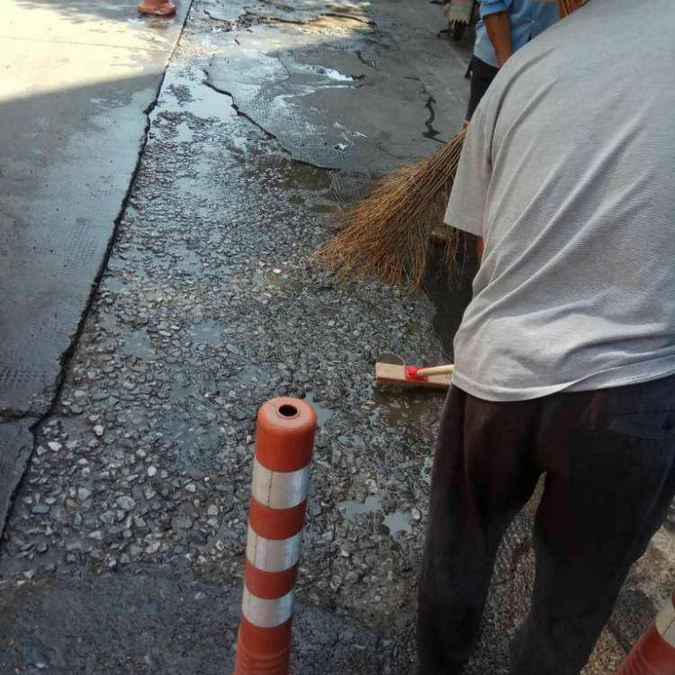 视频丨生态修复引来“凤还巢” “十四五”期间我国山水工程取得显著成效(图1)