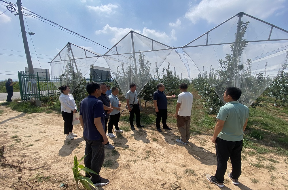 发展社会化服务是把农业建成现代化大产业的关键(图1)