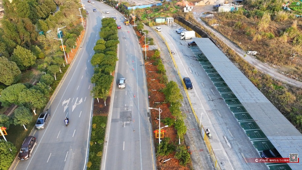 苏仙区：道路景观焕新颜 绿化工程惠民生(图2)