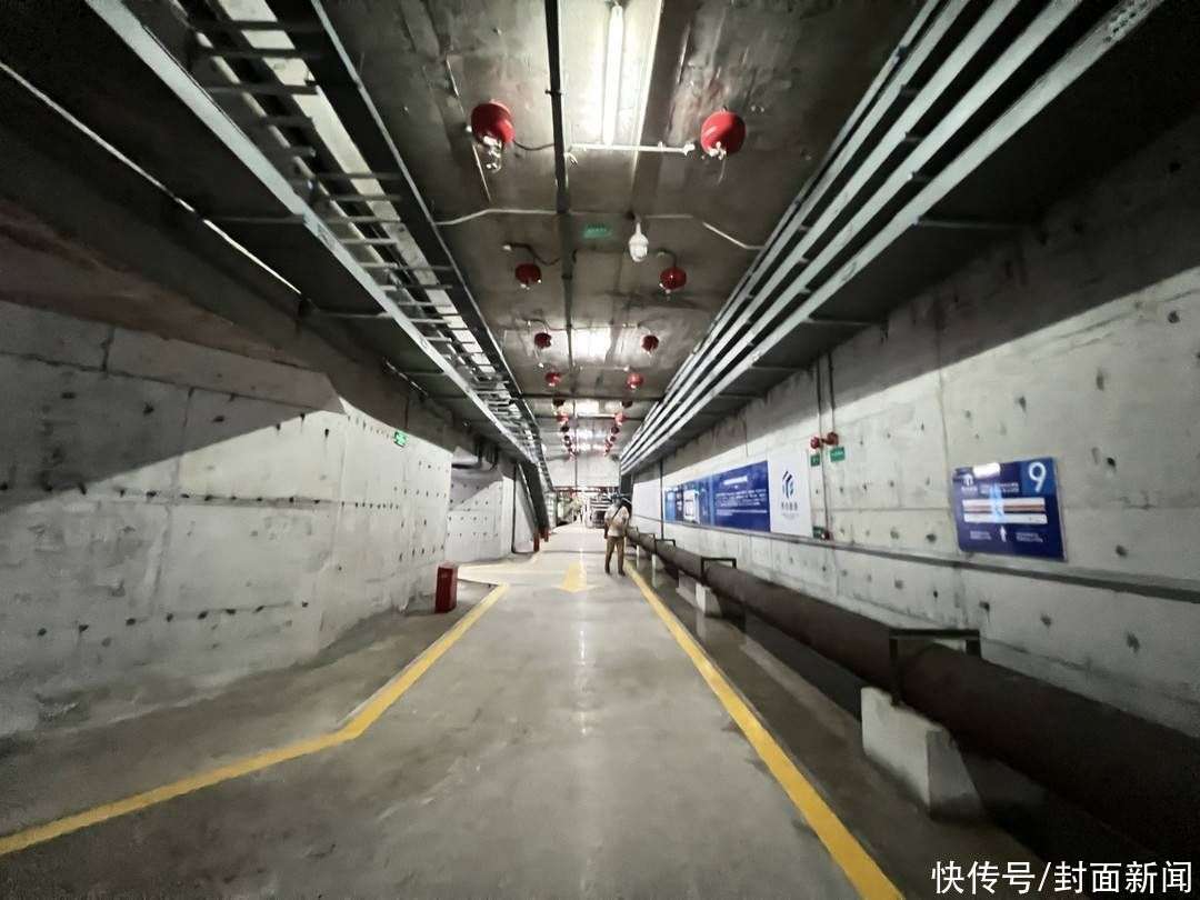 亳州市谯城区：破解养殖环保痛点 激活绿色循环经济(图1)