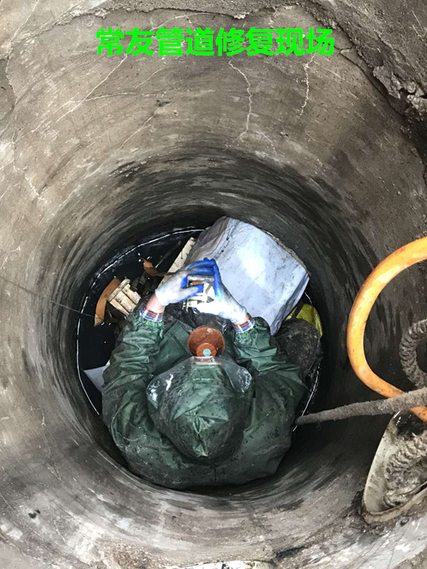 大摩沪港深精选混合C(图1)