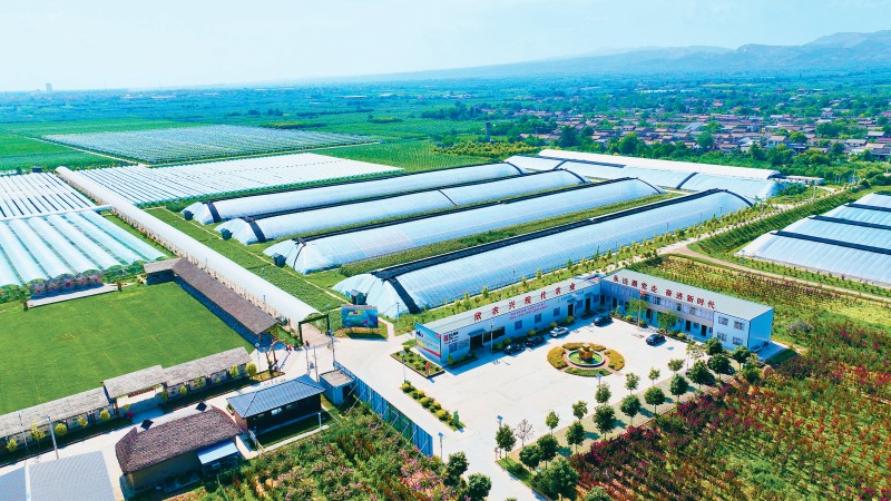 以城乡融合发展扎实推进乡村全面振兴(图1)