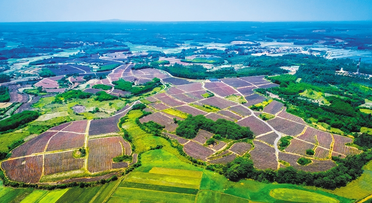 阿斯塔纳哈萨克斯坦国际农业展实践经验案例分享丨天弋展览(图1)