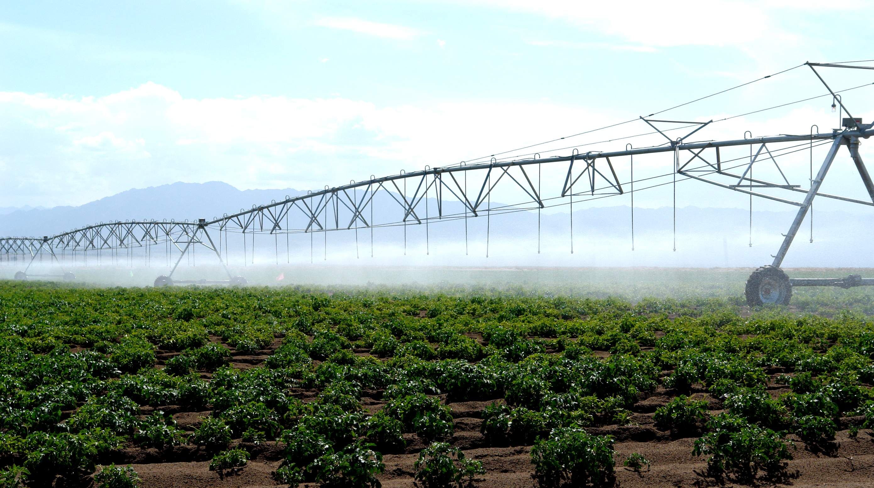 中国瑞林中标：广东省大宝山矿业有限公司“2026年度生态修复项目设计”项目竞价（第二次）成交候选人公示(图1)