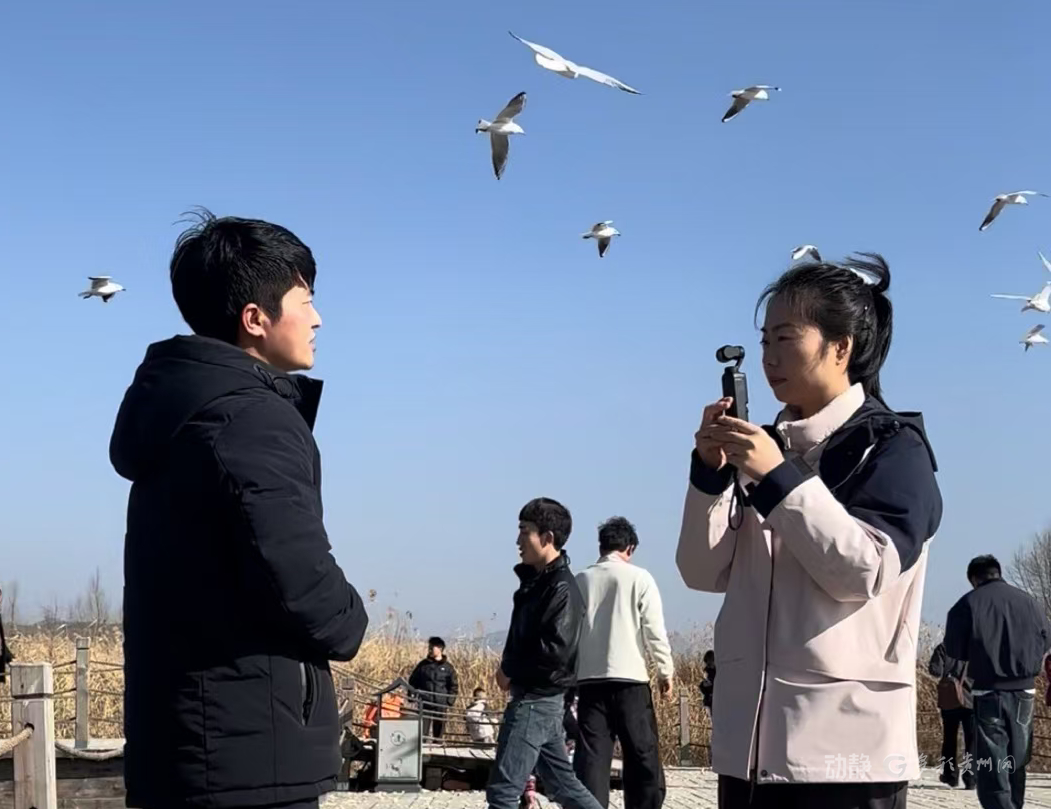 新春走基层丨2800多只黑颈鹤的“中国驿站”(图5)