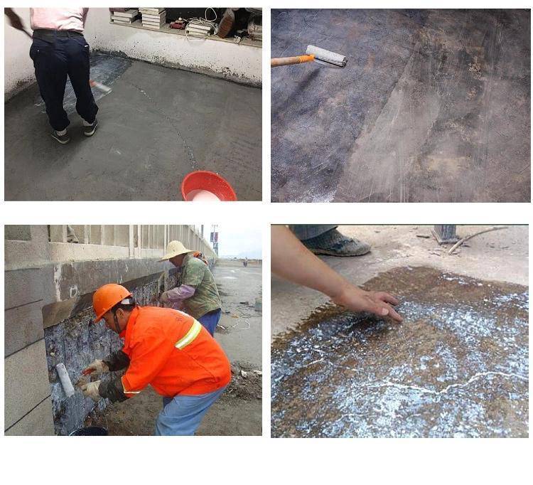 媒体关注黑龙江生态环境（22-215）(图1)