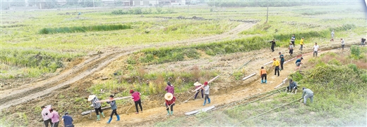 生态研学：总要来一次生态修复公园(图1)