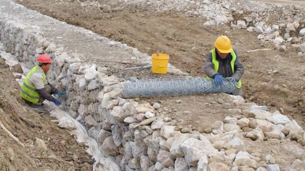 抢抓黄金期！郧阳全力推进这项生态修复工程(图2)