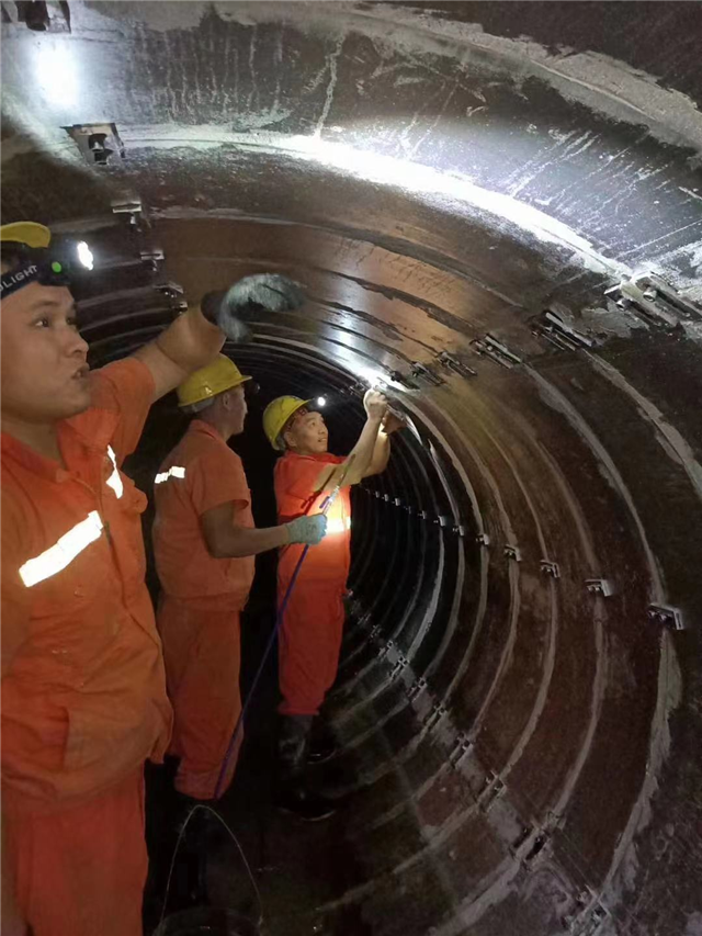 若尔盖湿地修复：生态噩梦盼苏醒(图1)