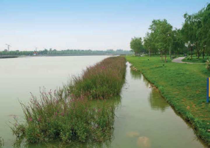 科技治水 凉水河努力变身生态走廊(图1)