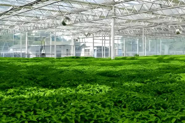 中国太保2025可持续发展报告发布： 绿色转型赋能高质量发展新征程(图1)