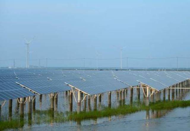 专访拜耳作物科学胡梦影：农业插上科技翅膀中国市场潜力无限(图1)