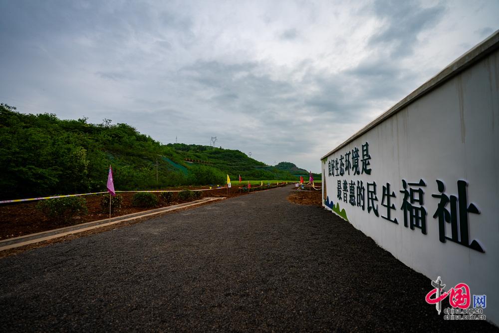 从“生态伤疤”到“绿色屏障” 七宝山废弃矿区重生记(图7)