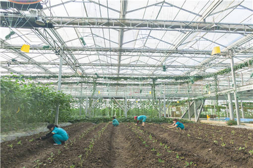 锚定绿色农业转型 筑牢生态粮仓根基(图1)