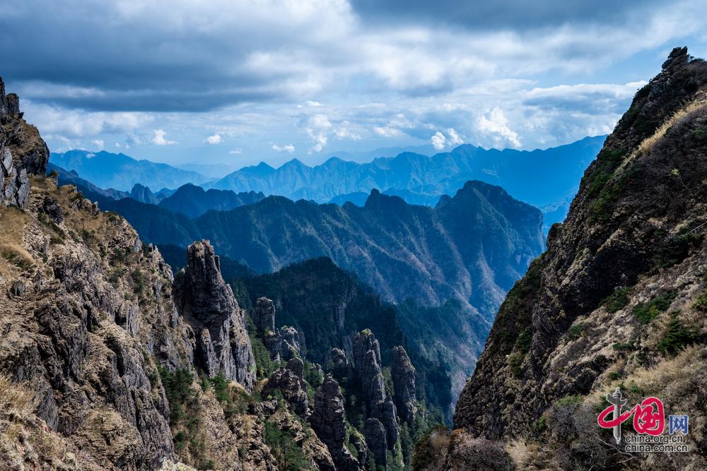 世界地球日 守护北纬31度的绿色奇迹 神农架林区生态保护与修复概览(图4)
