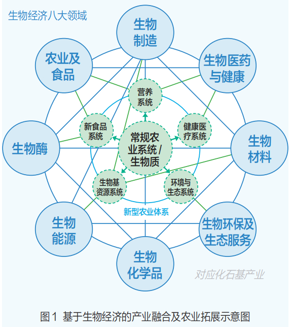 发展设施农业助推转型升级(图1)
