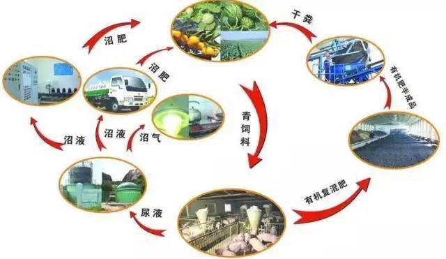 枣庄两项案例亮相联合国可持续发展高级别政治论坛(图1)