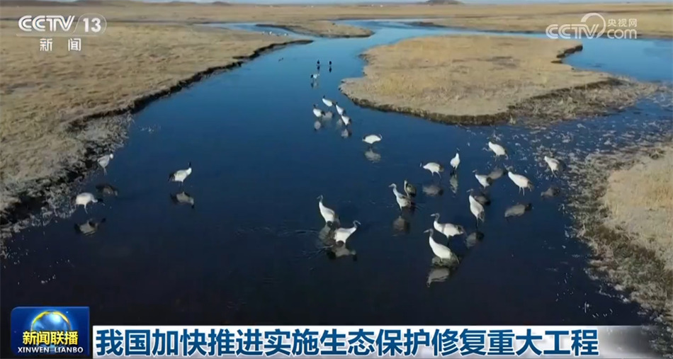 2026年中国生态修复行业发展现状分析及投资趋势预测(图1)