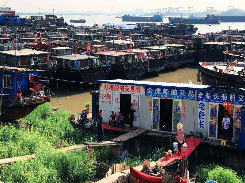 “工业岸线”变身“生态画廊”十里江湾见证长江芜湖段绿色重生(图1)